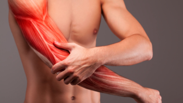 Cara Mencegah Cedera Otot Saat Gym dengan Teknik Pemanasan Dinamis yang Benar