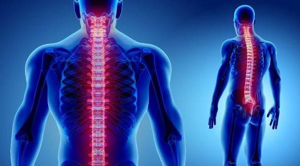 Faktor yang Mempercepat Penurunan Kepadatan Tulang Sejak Usia Dewasa Muda